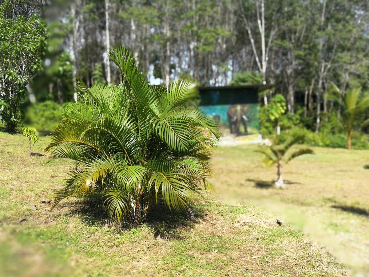 Appartement Palm Garden House à Ko Lanta Extérieur photo